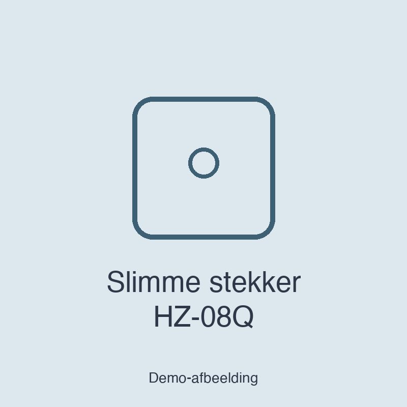 Slimme stekker HZ-08Q