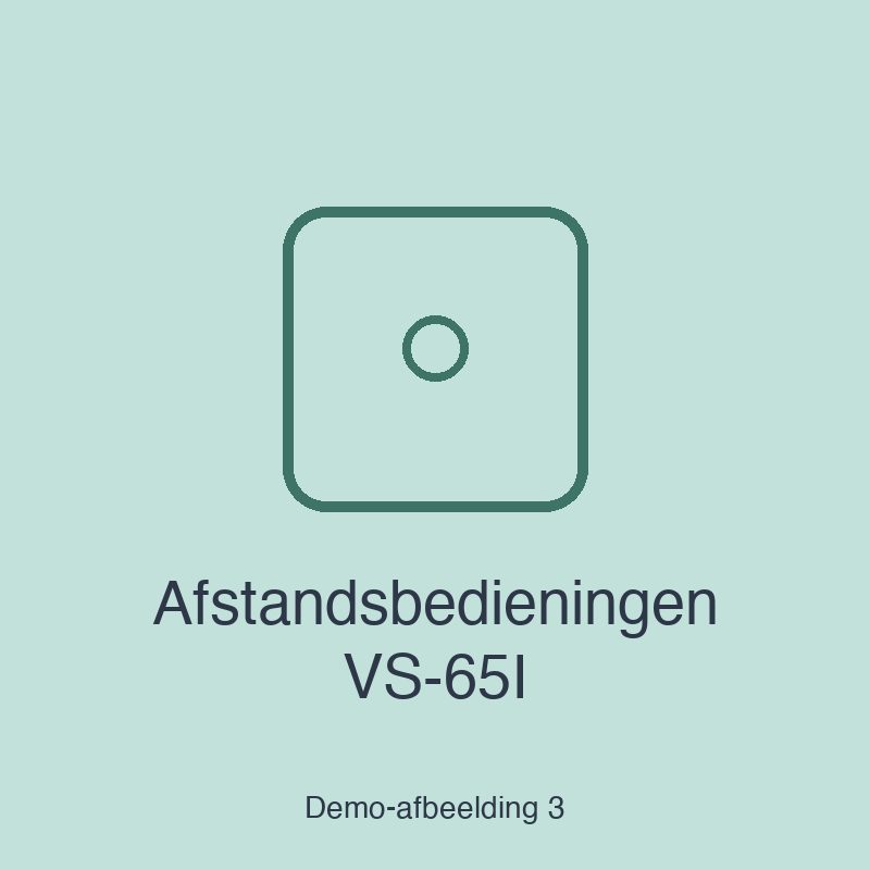 Afstandsbedieningen VS-65I - afbeelding 3