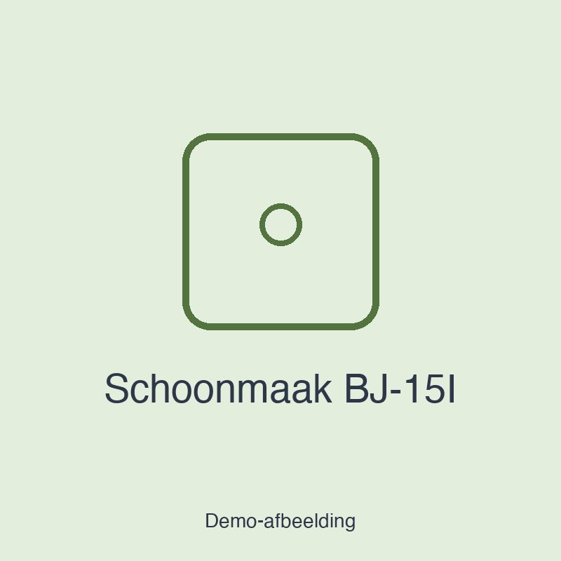 Schoonmaak BJ-15I